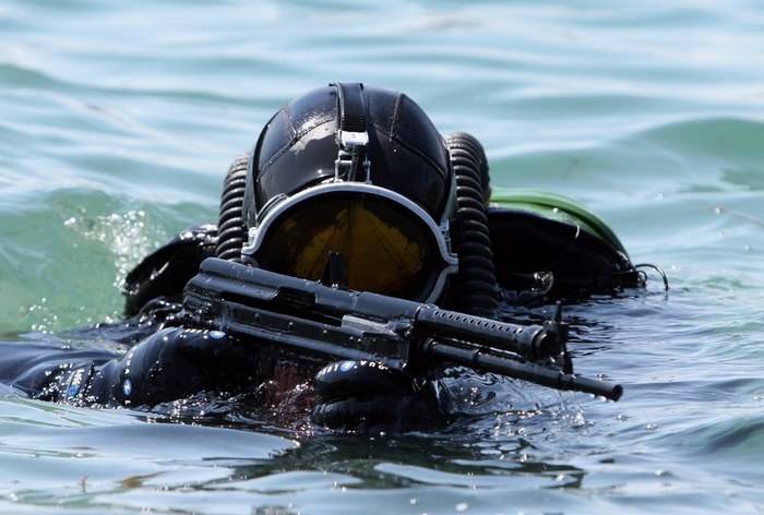 В России создали новые боеприпасы для борьбы с подводными диверсантами
