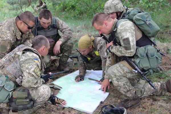 Украинский "волонтёр": ВСУ в щепки разнесли позицию противника