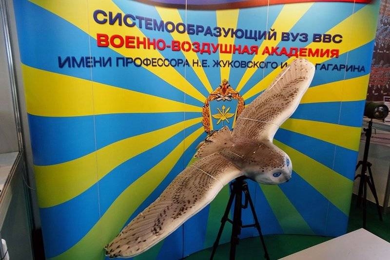 Полярная сова поможет вести разведку и выдавать целеуказания