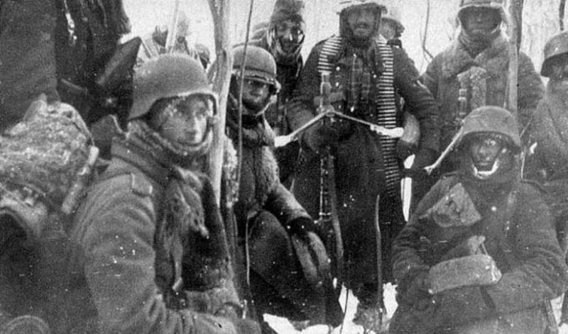 В Испании восхитились стойкостью дивизии, участвовавшей в блокаде Ленинграда