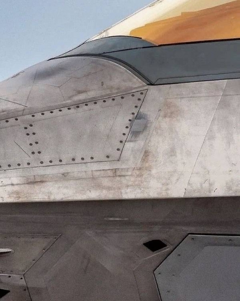 В Китае прокомментировали "грязь" и пучок травы на фюзеляже F-22