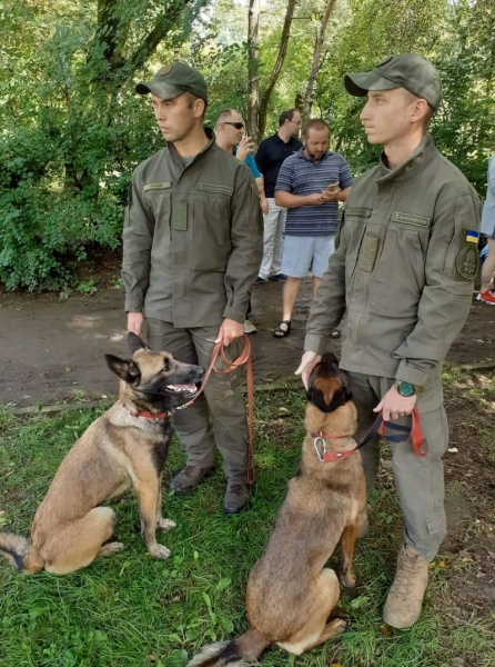 Во Львове собак наградили знаками «За службу Украине»: среди награждённых пёс Чупакабра
