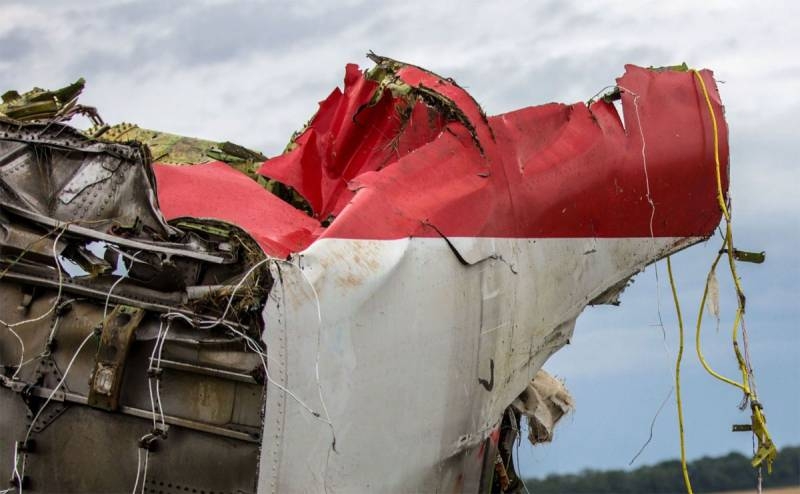 Частный детектив из Германии заявил о наличии спутниковых снимков США по MH17