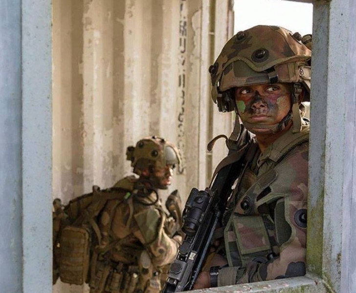 О кризисе натовской солидарности на примере брошенного в Сирии спецназа Франции