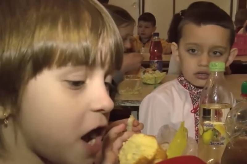 Украинские «кормильцы» наживались на питании детей из чернобыльской зоны