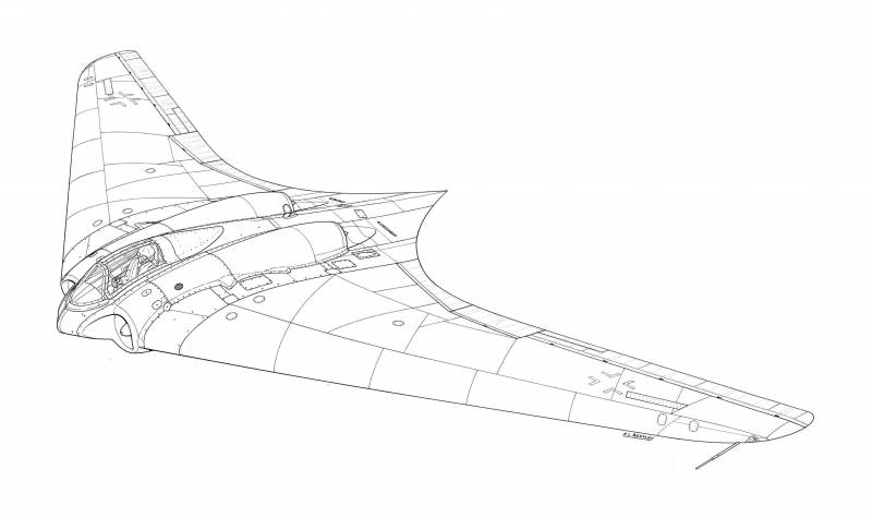 Horten 229: на чьих крыльях летает БПЛА «Охотник»