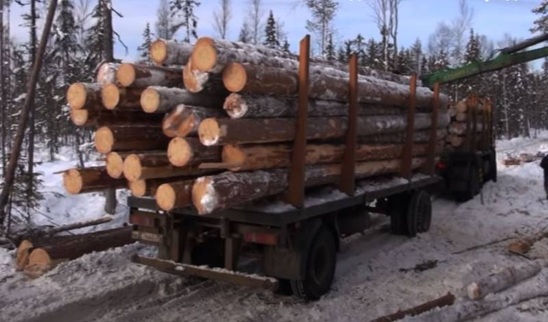 В Финляндии спорят о возможной угрозе для деревообрабатывающего бизнеса в связи с решением Путина