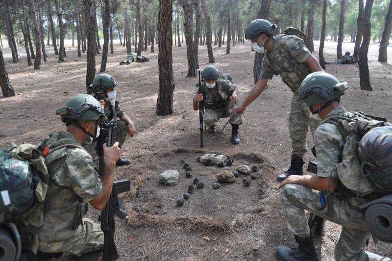 Новая колонна турецких войск вошла в сирийскую провинцию Идлиб