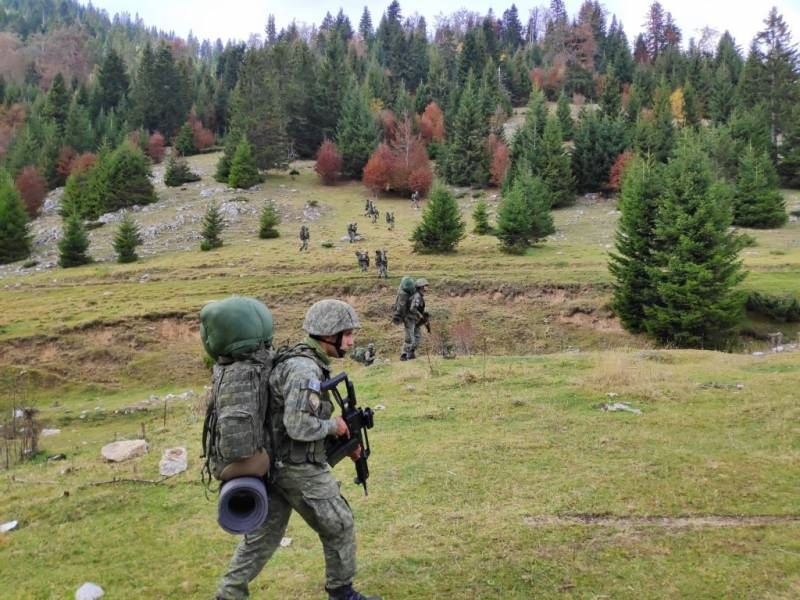 «Это или секретная операция, или нас обманули» - турецкие пользователи сетуют на отсутствие данных о выдвижении войск в Карабах