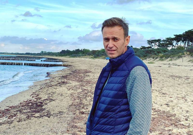 Польский профессор и депутат: У Навального есть серьёзная проблема, чтобы воспользоваться протестными настроениями