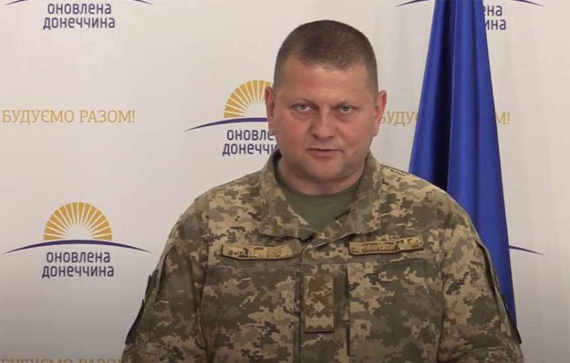 Новый главком ВСУ запретил украинским политикам посещать зону ООС в Донбассе