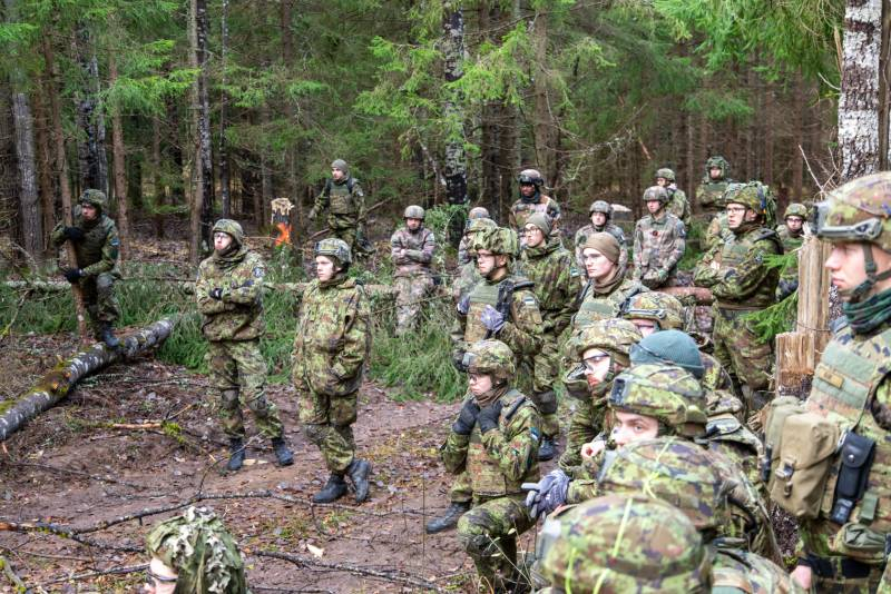 Призванные на военные сборы эстонские резервисты будут строить заграждение на границе с Россией