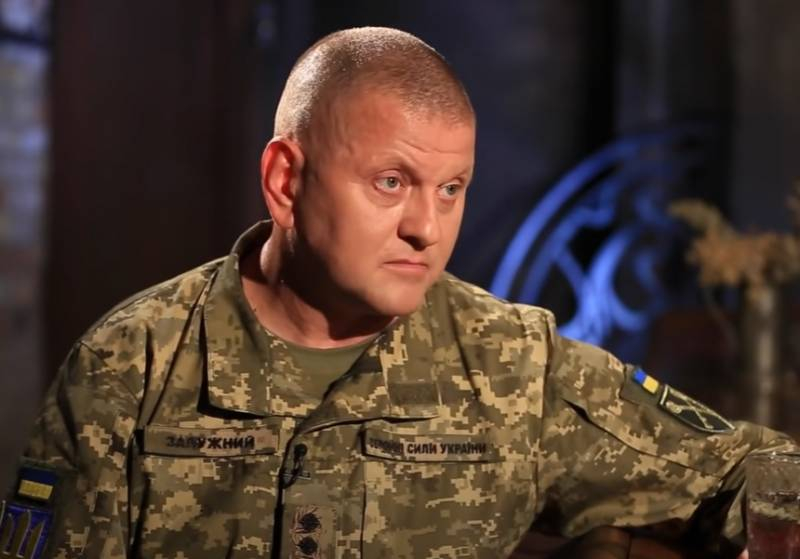 Главнокомандующий ВСУ: У украинской армии на данный момент нет планов операции по вхождению в Крым