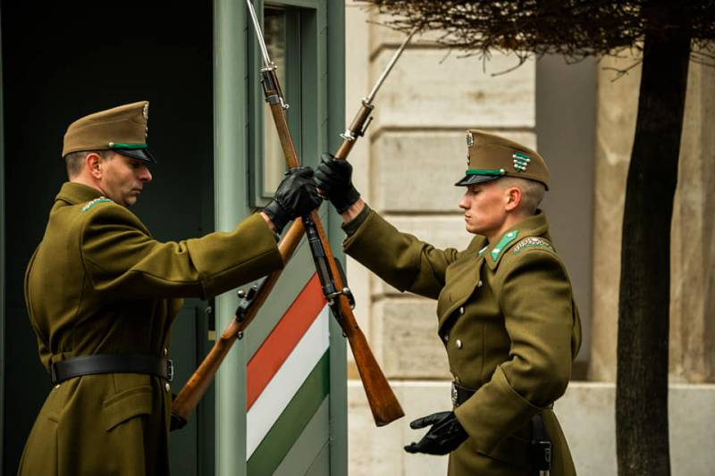 НАТО может быть настойчиво в плане ввода войск в Венгрию из-за опасений проблем с Закарпатьем